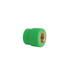 Femal Adapter Socket