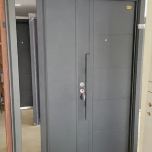 Galvanized Steel Door – 2100*1200*70mm (7cm)