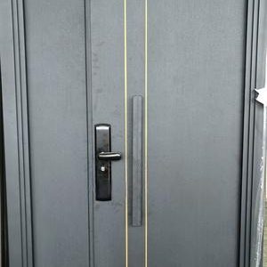 Galvanized Steel Door – 2050*1200*70mm 7cm