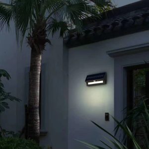 Garden Solar Lights