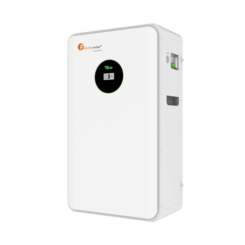 Solar Lithium Iron Battery (Only Parallel Connection) (Grade A Battery Cell)FLA48300TG2